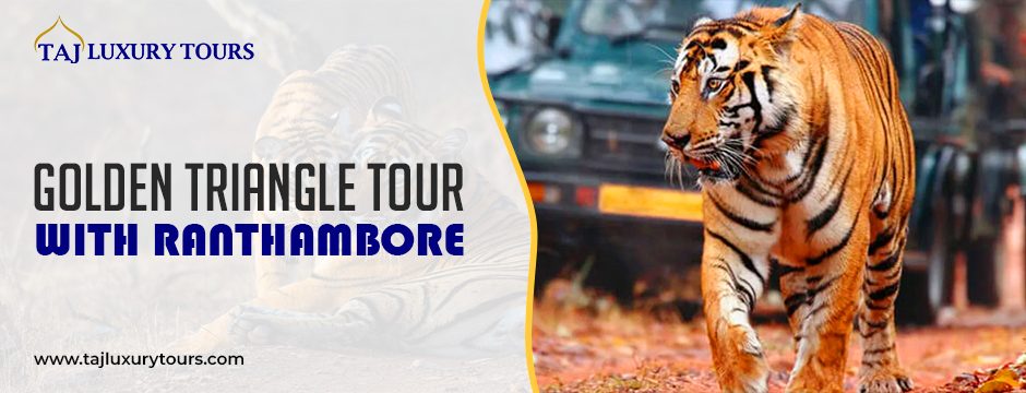 Golden Triangle tour with Ranthambore