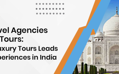 Best Travel Agencies for Agra Tours