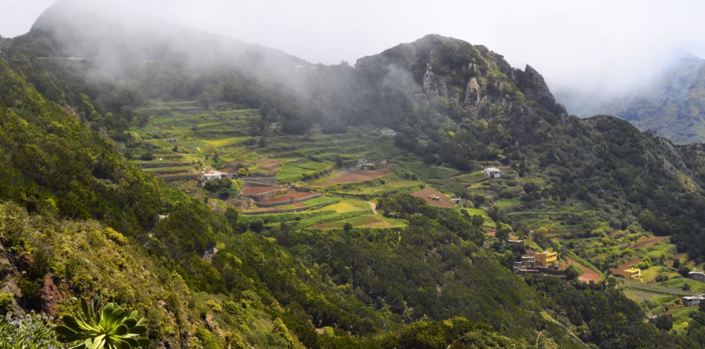 beautiful-view-green-mountains-covered-with-haze